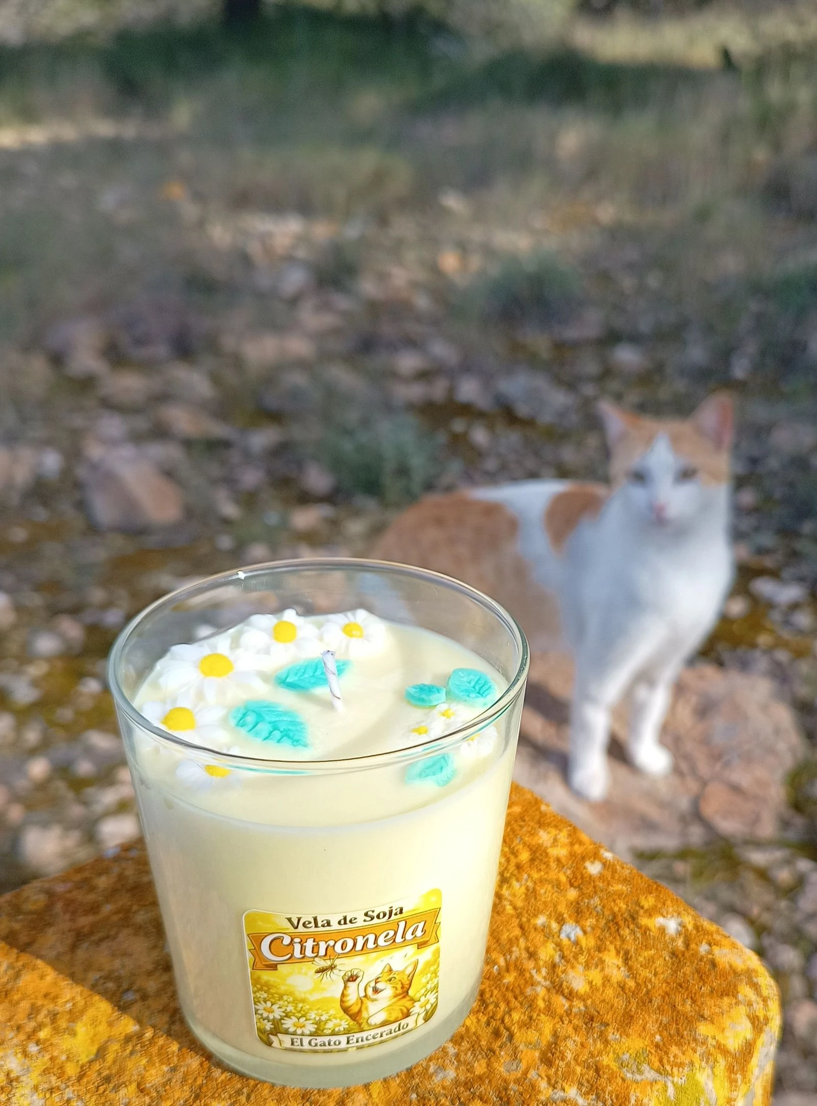 Vela de soja Citronela